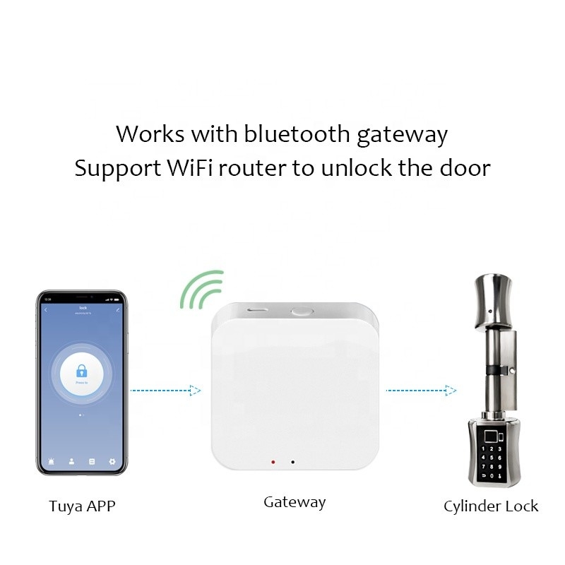 Serrure de porte biométrique sans fil en alliage de zinc de Smart de mot de passe de serrure de porte d'empreinte digitale